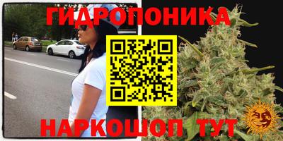 экстази Будённовск